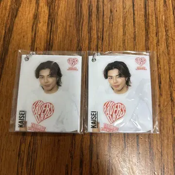 란페 로토 타케치 카이세이 D상
