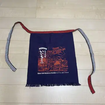 9mm Parabellum Bullet 이이치코 콜라보