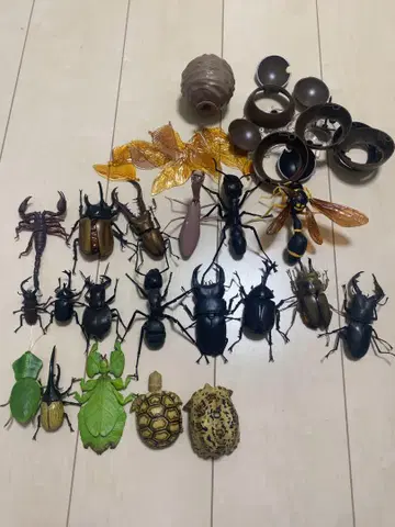 곤충 피규어 세트 반다이 생물 대도감 메인
