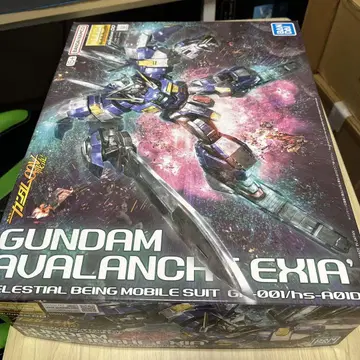 새상품 MG 1/100 건담 아발란체 엑시아 돌진