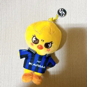 straykids karma skzoo 포가리