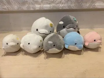 미르카 고래 봉제 인형 세트