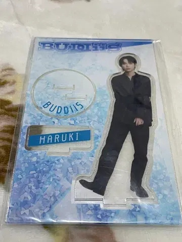 BUDDiiS HARUKI 아크릴 스탠드