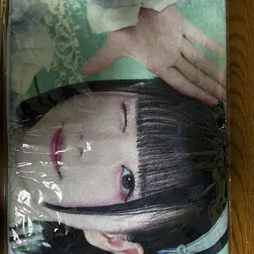 iLife 의자