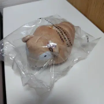 포켓몬스터 피카츄빵집 야돈 코로네