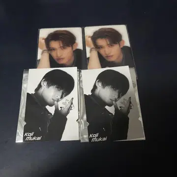 SnowMan 무카이 코지 티켓풍 카드 치라미 카드 세트