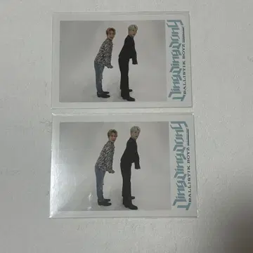 BALLISTIK BOYZ 후카보리 미쿠토 카노 요시마사 페어 사진