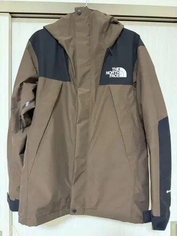 THE NORTH FACE 마운틴 후드티