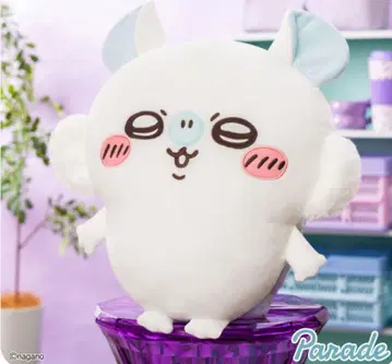 치이카와 모몽가 초 BIG 봉제 인형