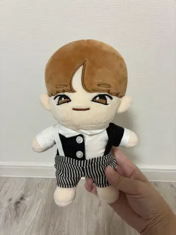 SEVENTEEN the8 봉제 인형 인형