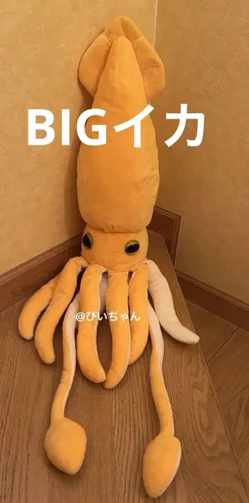 축 늘어지는 대왕오징어 3BIG 봉제 인형 오징어