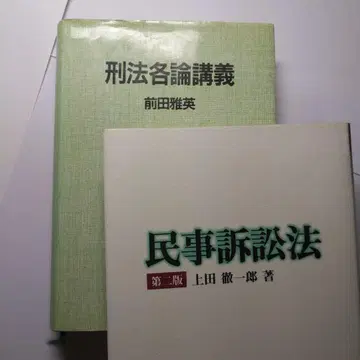 형법 각론 강의 민사소송법