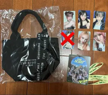 2025 IVE FAN CONCERT [ IVE SCOUT ]