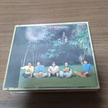 튤립 / Someday Somewhere CD