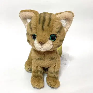 산레몬 키튼 봉제 인형 얼룩 고양이 고양이