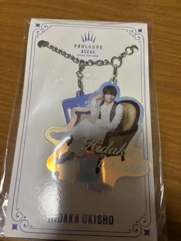 ACEes 우키쇼 히다카 아크릴 키링