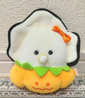 동글동글한 눈의 생굴 호박 팬츠 모찌후와