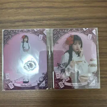 노기box 야타 모에카 모바카