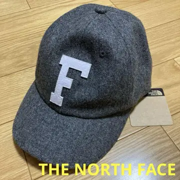 THE NORTH FACE TNF LOGO FLANNEl CAP
