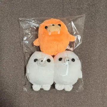 미니콩 물개 바다코끼리 3개 세트 봉제 인형 수족관