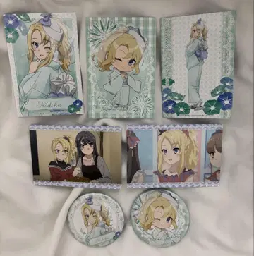 청춘 돼지는 빅카메라 토요하마 노도카