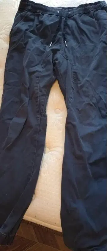 제인 로브 슈어 샷 조거 팬츠