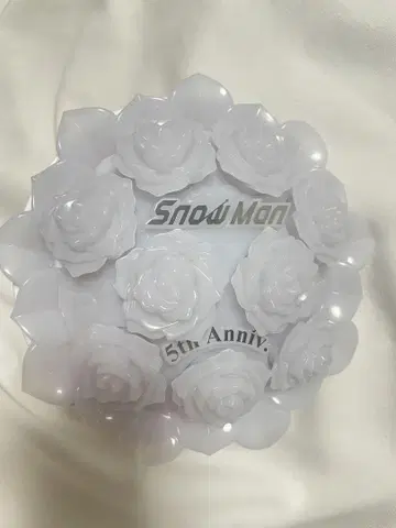 Snow Man 응원봉 1st stadium LIVE 덤 포함