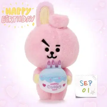 BT21 봉제 인형 FULL OF COOKY 쿠키
