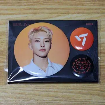 SEVENTEEN BE THE SUN 캔뱃지 호시