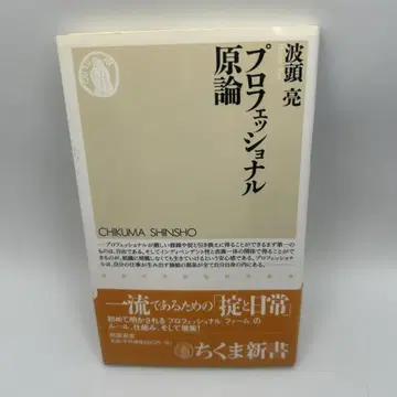 프로페셔널 원론 사인 도서