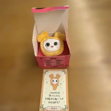 러블리 twice 반지 지효 & 러블리 카드
