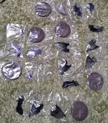 몬스터 헌터 포획대 디아블로스 아종 타마미츠네 레어종 진오우거 레어