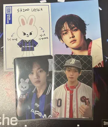 straykids 리노 KARMA 포토카드 세트