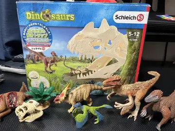 Schleich 두개골 세트 + 공룡 피규어 세트