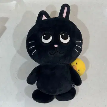 RIIZE 40cm 인형 원빈