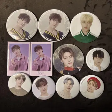 디노 캔뱃지 세트