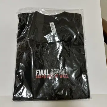 AKIRA ARTOFWALL FINAL REPORT T M 사이즈 아키라
