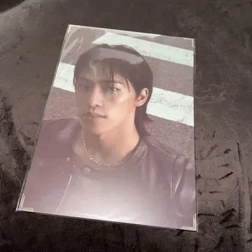 디노 프리미엄 사진