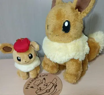 포켓몬 이브이 봉제 인형 세트