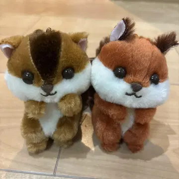 레어 통통한 볼의 초코리스 마스코트 볼체인
