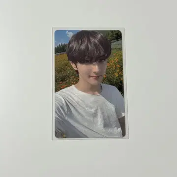 ENHYPEN 정원 트레이딩 카드