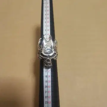 트랜스코어 프레임스컬 반지
