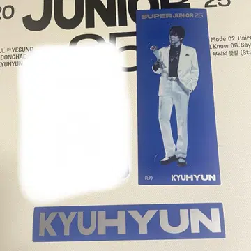 SUPERJUNIOR 25 스티커 세트 규현