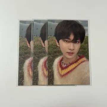 ENHYPEN 정원 트레이딩 카드