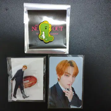 샤오쥔 wayv 웨이션V 랜덤 토이 랜트 토이 트레이딩 카드 핀 배지