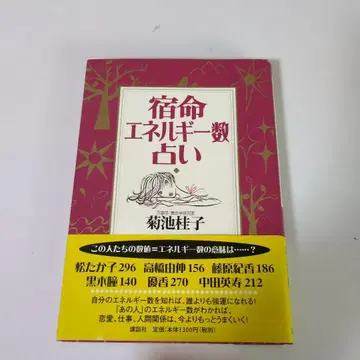 숙명 에너지 수점술 키쿠치 케이코 만상학 산명학 연구가