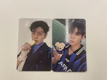 stray kids KARMA SKZOO 봉입 트레이딩 카드 컴프 승민