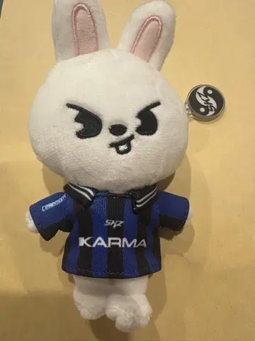 straykids skzoover karma 리빗