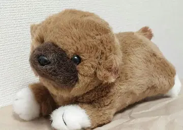 퍼스트 강아지 봉제 인형