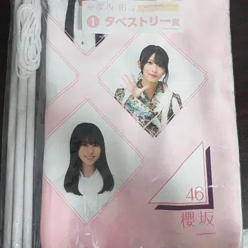 사쿠라자카46 태피스트리상 핑크